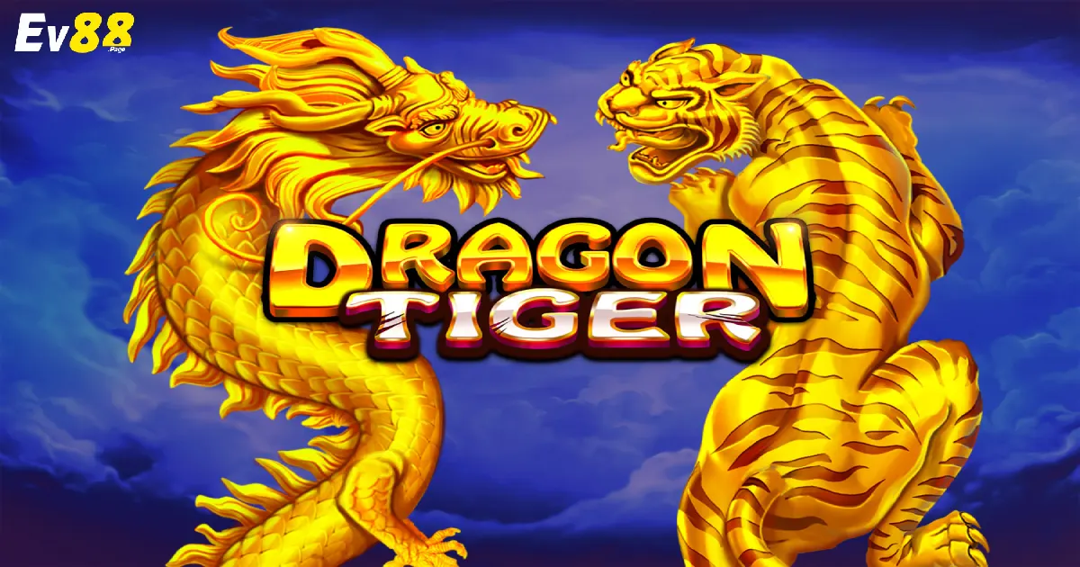 Cách Chơi Game Rồng Hổ & Những Quy Tắc Cần Biết